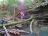 colliercreek_small.jpg