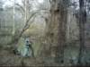 favoritetreeinnoxubeeonthebeaverdamtrail_small.jpg