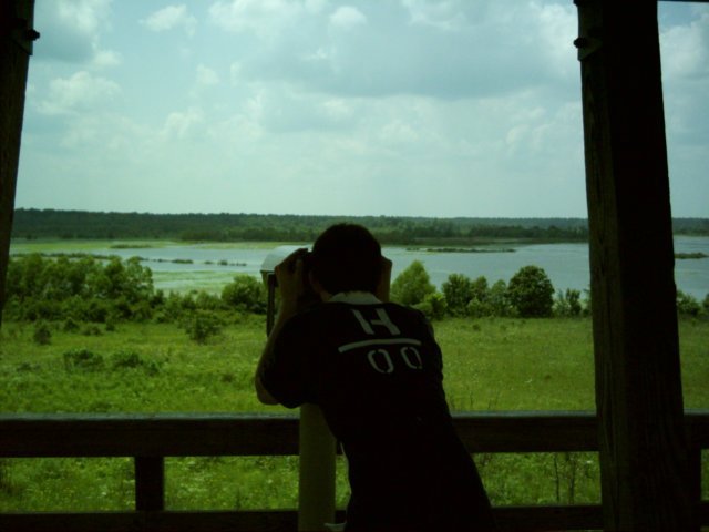 loakfomalake.jpg
