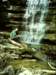 montesanostatepark_small.jpg