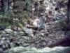 oldrrbedtrail_small.jpg