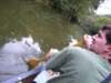 paddlinthebackwatersoflakeguntersvilleatbuckspocketstatepark_small.jpg