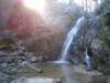 peavinefalls_small.jpg