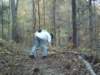scattertowntrail2_small.jpg