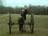 shilohnationalbattlefield_small.jpg