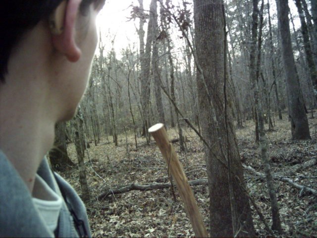 wildtrail.jpg