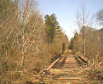 bridge3.jpg