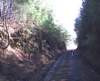 pastbridge3_1_small.jpg