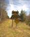 pastbridge4_1_small.jpg