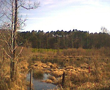 _wetlandeast022704.jpg