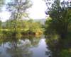 nances_creek_small.jpg