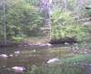 nm_scenic2_small.jpg