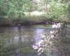 scenic3_small.jpg