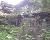 canecreekside2_small.jpg