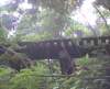 canecreekside3_small.jpg