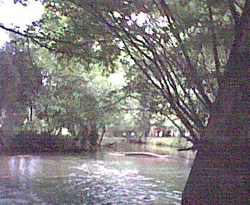 photo10.jpg