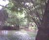 photo10_small.jpg