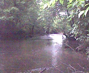 photo11.jpg