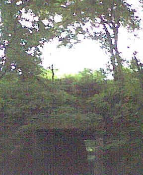 photo8.jpg