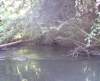 tredegar3_small.jpg