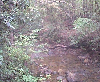 photo.jpg