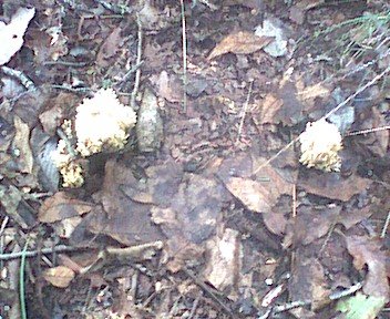 photo12.jpg