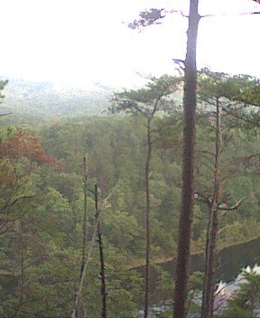 photo19.jpg