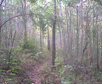 photo2.jpg