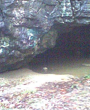 photo11.jpg