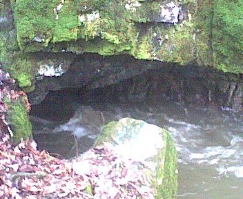 photo15.jpg