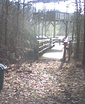 photo.jpg