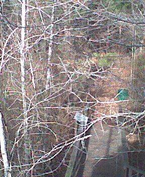 photo12.jpg