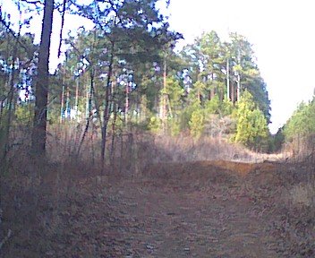 photo16.jpg