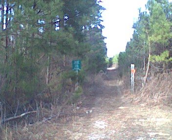 photo18.jpg
