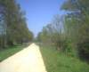 silvercomet_bridge4_small.jpg