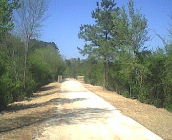 silvercomet_bridge7.jpg