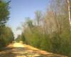 silvercomet_bridge8_small.jpg