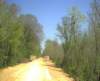 silvercomet_pastesomhillrdbridge1_small.jpg