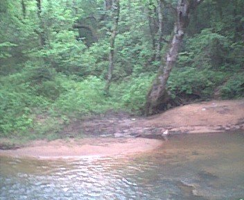 photo10.jpg