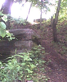 photo11.jpg