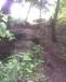 photo11_small.jpg