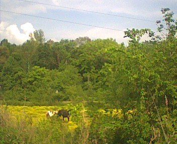 photo13.jpg