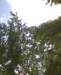 photo5_small.jpg