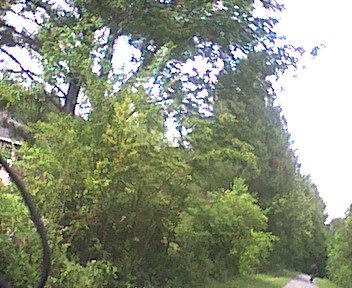 photo6.jpg