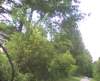 photo6_small.jpg
