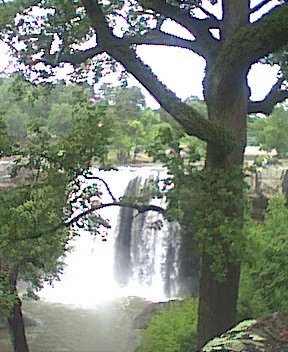 photo10.jpg