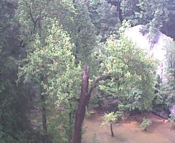 photo11.jpg
