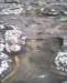 photo13_small.jpg
