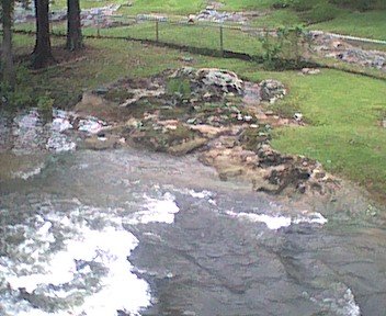 photo3.jpg