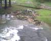 photo3_small.jpg